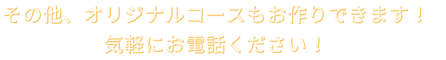 その他、オリジナルコースも