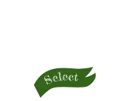 Party 宴会・女子会