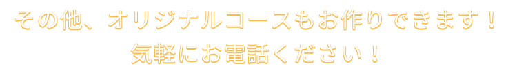 その他、オリジナルコースも